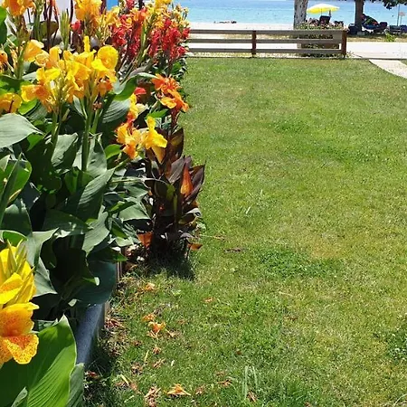 Bayside Apartment Vasiliki (Lefkada)