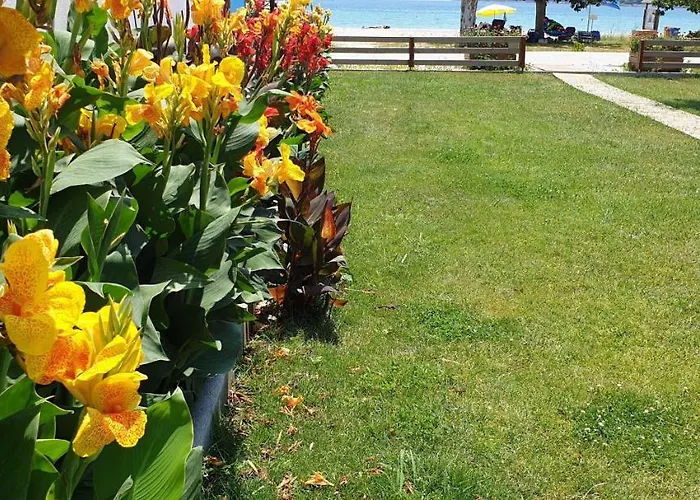 Bayside Apartament Vasiliki